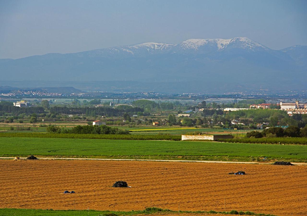 Hostal La Parrilla Tudela Εξωτερικό φωτογραφία